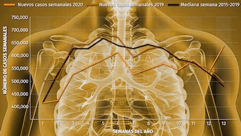 Gráfica: Jovani Pérez / Infobae