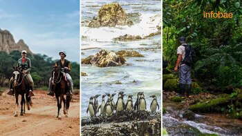 Desde el 17 hasta el