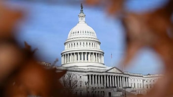 El Capitolio de los Estados Unidos se ve a través de hojas borrosas en primer plano bajo un cielo azul claro, con una bandera de EE. UU. a la derecha