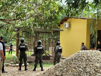 La pitón encontrada en la vivienda era mantenida sin los permisos correspondientes. (FOTO: La Prensa)