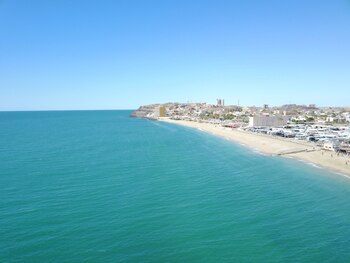 Estos mamíferos acostumbran a alimentarse