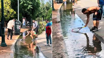 "Qué linda es la gente de Buenos Aires", expresó @clarita_ezcurra al compartir un video viral en TikTok donde se ve a personas ayudando a peces atrapados por las inundaciones