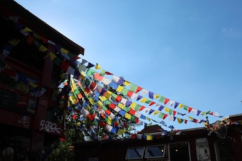 (Foto por Tomás Alarcon)