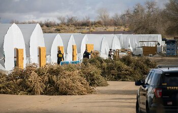 Casi 3 kilos de marihuana,