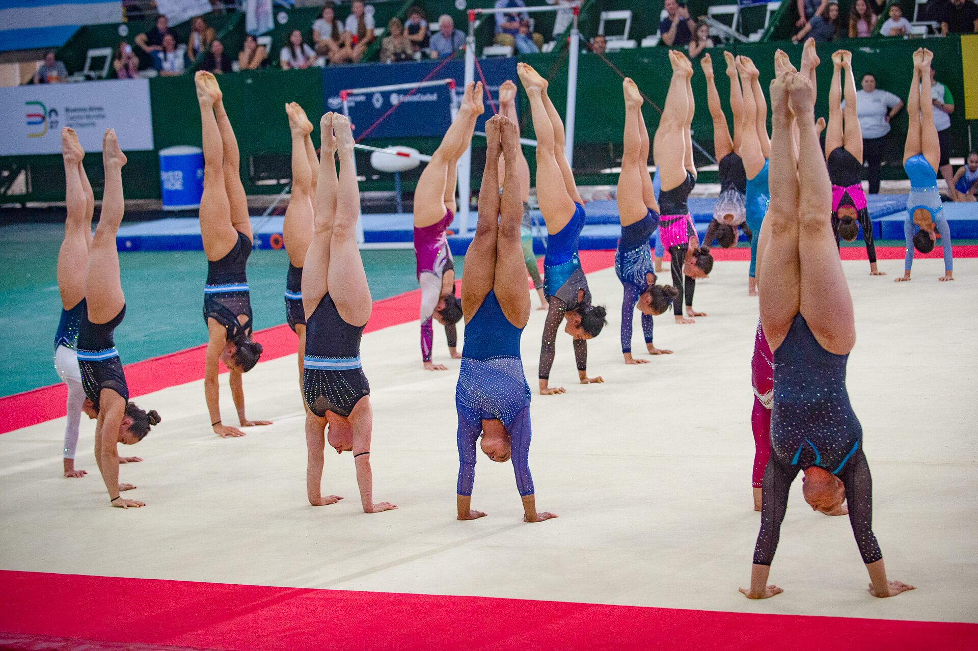 Una coreografía de las gimnastas en Parque Roca