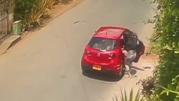 La mujer dejó al animal amarrado en la cerca y se fue en su vehículo - crédito @ColombiaOscura / X