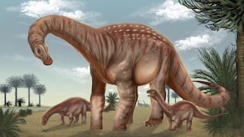 Descubrieron en Uruguay un dinosaurio gigante de 83 millones de años y lo llamaron “el protector”