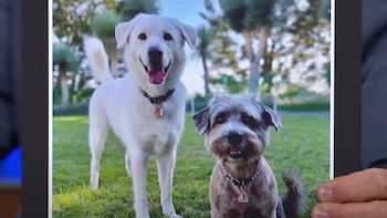 Actualmente, la actriz convive con