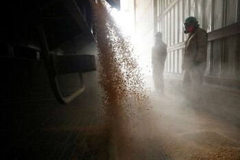 En 2025 se buscará llevar