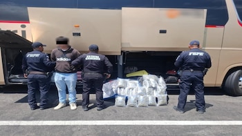 Detienen a hombre con miles de dosis de marihuana escondidas en maletas en autobús de Guanajuato