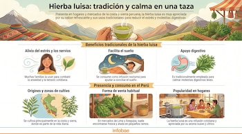 Infografía ilustrada sobre la hierba luisa, mostrando sus beneficios para el estrés y la digestión, zonas de cultivo en Perú, y su venta en mercados y uso en hogares.