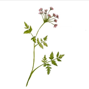 Cuanta con múltiples usos (foto: