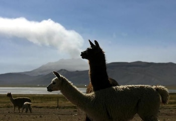 América Latina concentra más de 300 volcanes activos y produce una de cada cinco erupciones del mundo, según un reporte científico regional (REUTERS/Mariana Bazo)