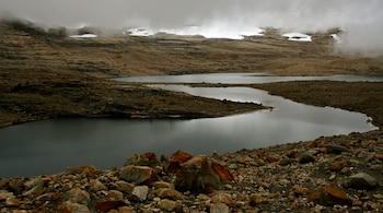 Los visitantes se agrupan en