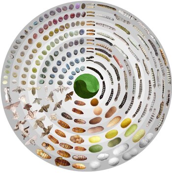 Investigadores en China presentaron en