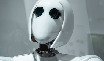 Una empresa desarrolló un robot