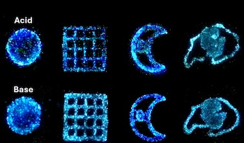 Ocho formas luminiscentes, en tonos azul y cian, dispuestas en dos filas sobre un fondo negro, etiquetadas como "Acid" y "Base"