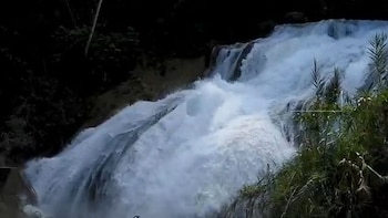 Cascada de agua blanca y espumosa cayendo sobre rocas, con vegetación verde frondosa a la derecha y árboles oscuros al fondo