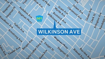 Mapa azul claro con calles y nombres. Se destaca Wilkinson Avenue con un marcador. Un segundo marcador azul muestra el texto 501 County