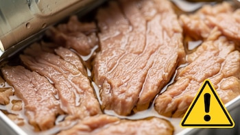 Atún rojo vs. atún claro: cuál tiene más mercurio y cuál más omega-3