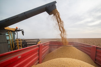 El eje central de la