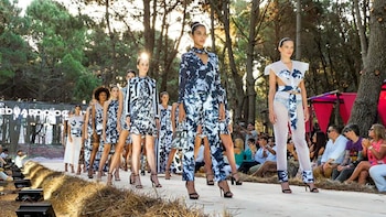 Serán de la partida los