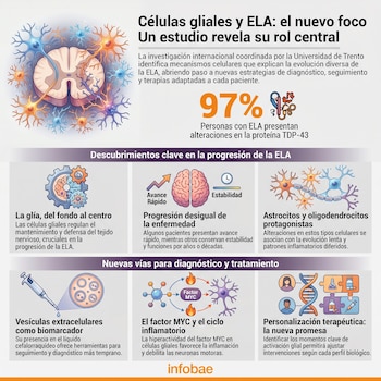 Infografía que muestra una médula espinal con neuronas y células gliales, detalles de progresión de la ELA, vesículas, factor MYC y personalización terapéutica.