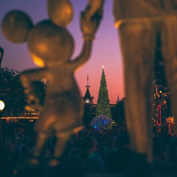 Hay varios descuentos, tanto en