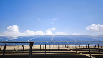 El complejo es parte de