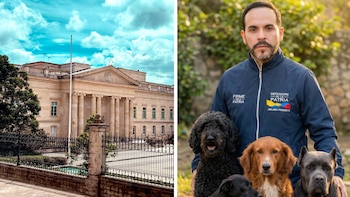 Abelardo de la Espriella llegará a la Casa de Nariño con una numerosa familia perruna: “Les presento a mi manada”