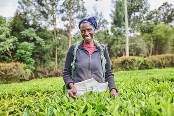 Otra de las trabajadoras que