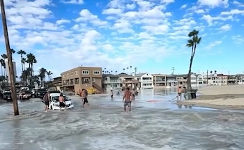 Varias personas caminan por una calle inundada junto a un automóvil blanco, casas costeras y palmeras en un día soleado