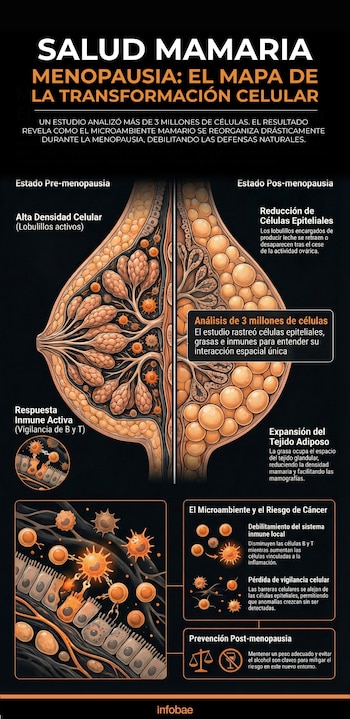 Imagen KDANWTEQFZH6XFDKOXGQ24SAGY