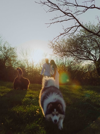 Las mascotas de la pareja (@endrick)
