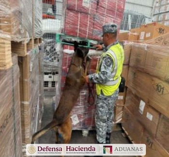 AIFA decomiso de cigarros falsos Gabinete de Seguridad de México