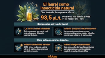 Infografía con título, texto explicativo, hojas de laurel, un frasco con aceite, una abeja y otros insectos, además de estructuras moleculares.