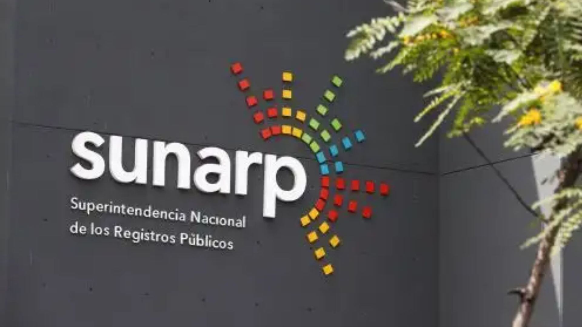 El proceso digital facilita el acceso electrónico a expedientes históricos y recientes, eliminando la dependencia de archivos físicos.