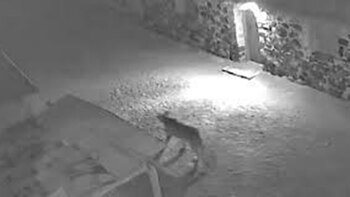 Los ganaderos se encuentran de