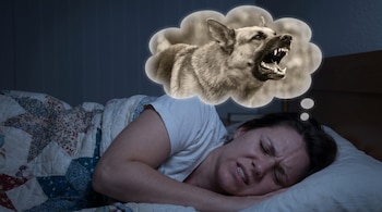 Una persona durmiendo de lado en la cama con una colcha de retazos, mostrando una expresión de angustia, con una burbuja de pensamiento mostrando un perro ladrando.