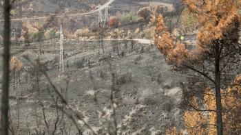 Las olas de calor fueron