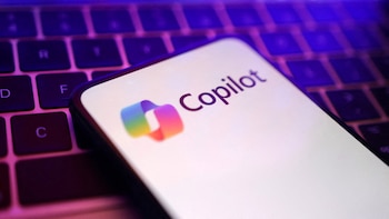 Revelan los temas que más