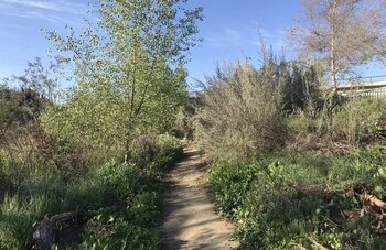 Las actividades familiares de Pascua en DeForest Park fueron suspendidas o trasladadas tras la alerta generada por el descubrimiento (AllTrails)