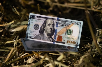 (Credito foto: Franco Fafasuli)