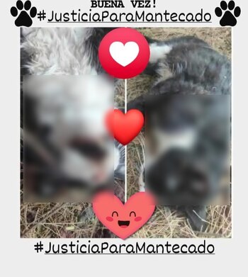 (Captura de pantalla)