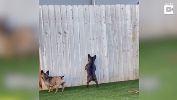 Espiar a los vecinos en