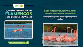 El EPA Cartagena aseguró que