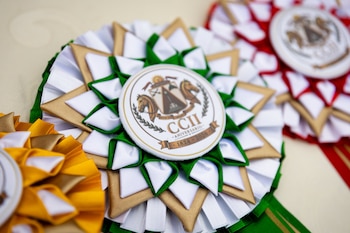 Primer plano de medalla roseta con cintas verdes, blancas y doradas. El centro tiene un emblema circular con texto 'CCII ANIVERSARIO 1824-2026' y un escudo. Otras medallas al fondo