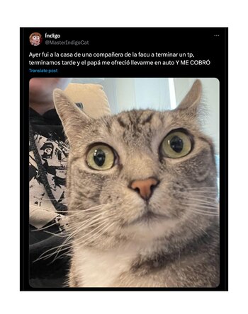 Índigo visitó la casa de