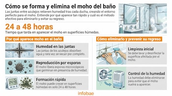 Infografía que muestra el moho en juntas de azulejos, esporas, un temporizador digital, una persona limpiando moho, un ventilador y un deshumidificador.