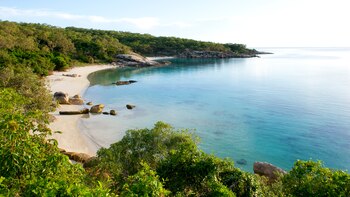 En la Isla Lagarto, es